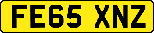 FE65XNZ