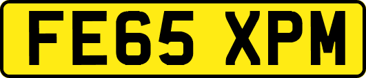FE65XPM