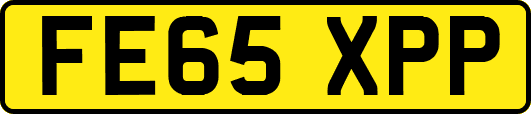 FE65XPP
