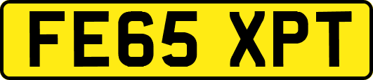 FE65XPT