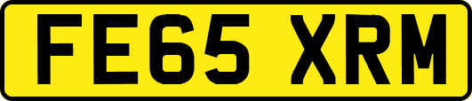 FE65XRM