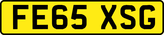 FE65XSG