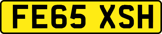 FE65XSH