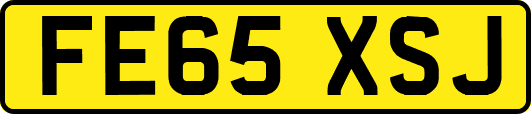 FE65XSJ