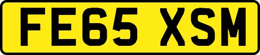 FE65XSM