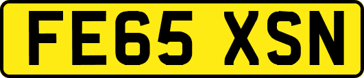 FE65XSN