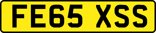 FE65XSS