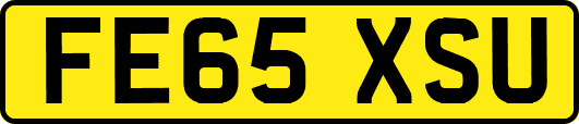 FE65XSU
