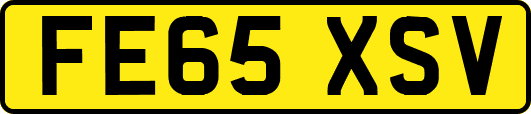 FE65XSV