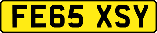 FE65XSY