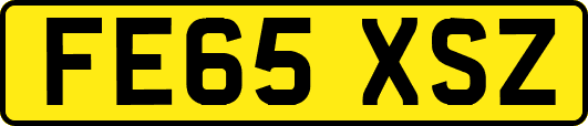 FE65XSZ