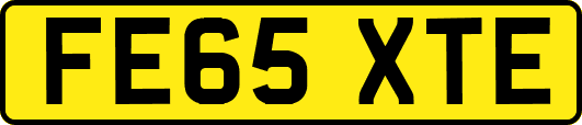 FE65XTE