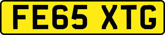 FE65XTG