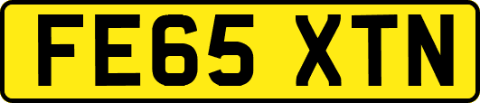 FE65XTN
