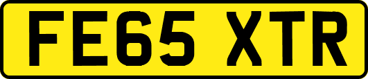 FE65XTR