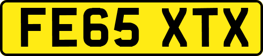 FE65XTX
