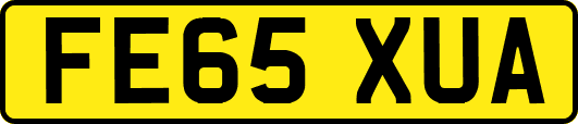 FE65XUA
