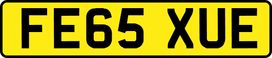 FE65XUE