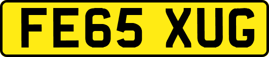 FE65XUG