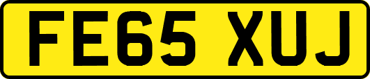FE65XUJ