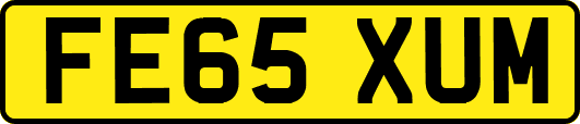 FE65XUM