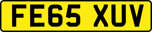 FE65XUV
