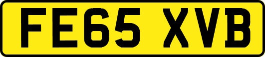 FE65XVB