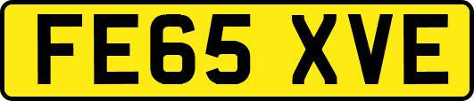 FE65XVE