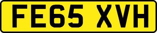 FE65XVH