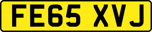 FE65XVJ