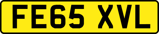 FE65XVL