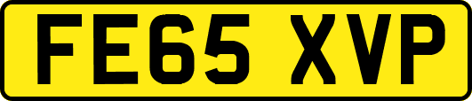 FE65XVP
