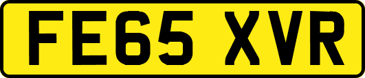 FE65XVR