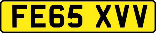 FE65XVV