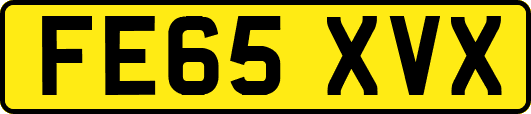 FE65XVX