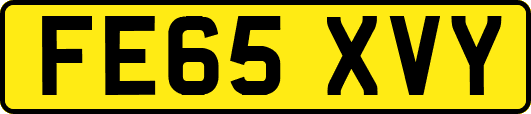FE65XVY