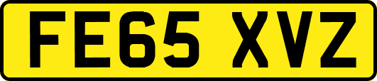FE65XVZ