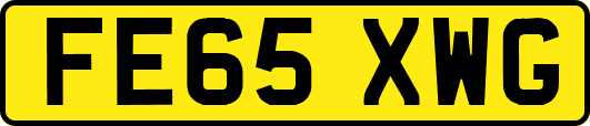 FE65XWG
