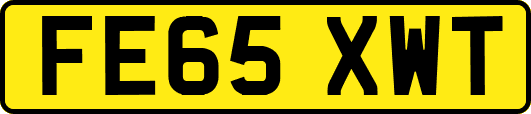 FE65XWT