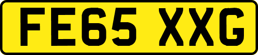 FE65XXG