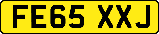 FE65XXJ