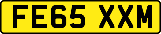 FE65XXM