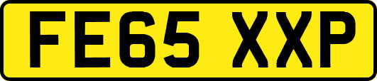 FE65XXP