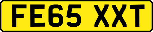 FE65XXT