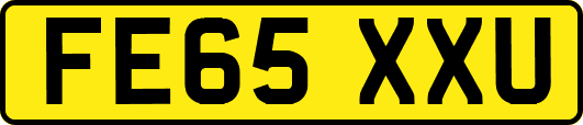 FE65XXU