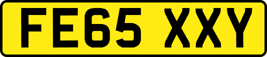 FE65XXY