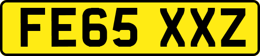 FE65XXZ