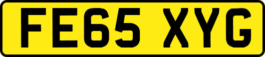FE65XYG