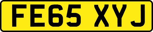 FE65XYJ