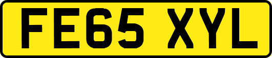 FE65XYL